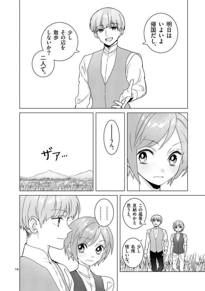 愛するつもりなぞないんでしょうから 第20話 - 14