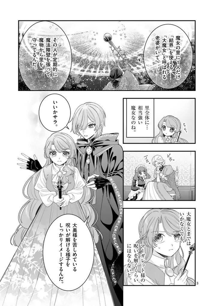 お針子令嬢と氷の伯爵の白い結婚 第14話 - 3