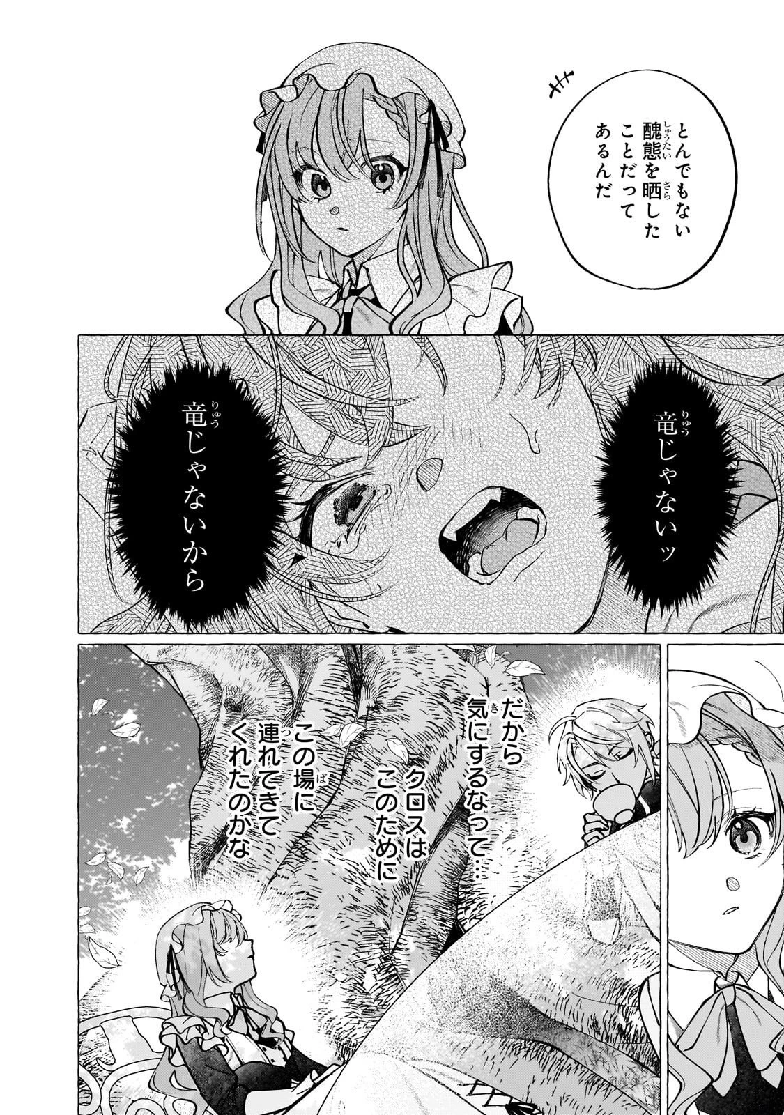 ウィズレイン王国物語 ～竜が花嫁～ 第10話 - 26