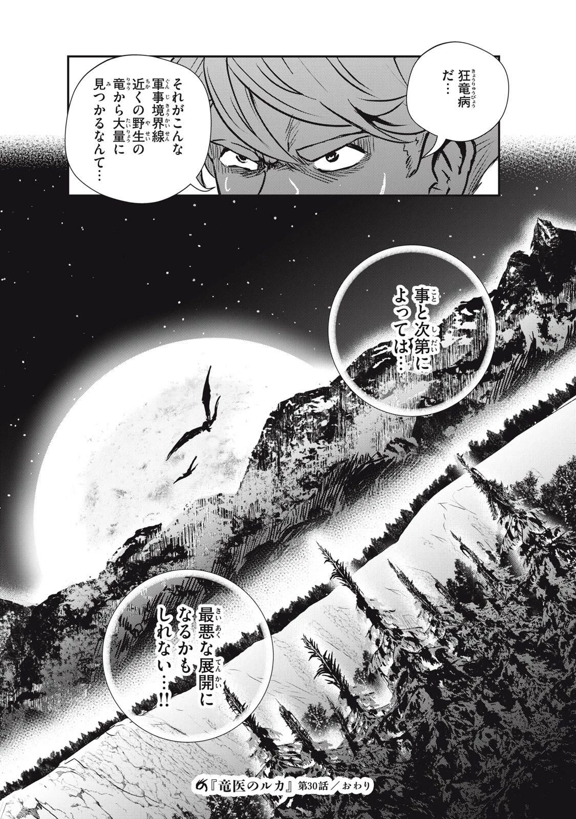 竜医のルカ 第30.2話 - 14