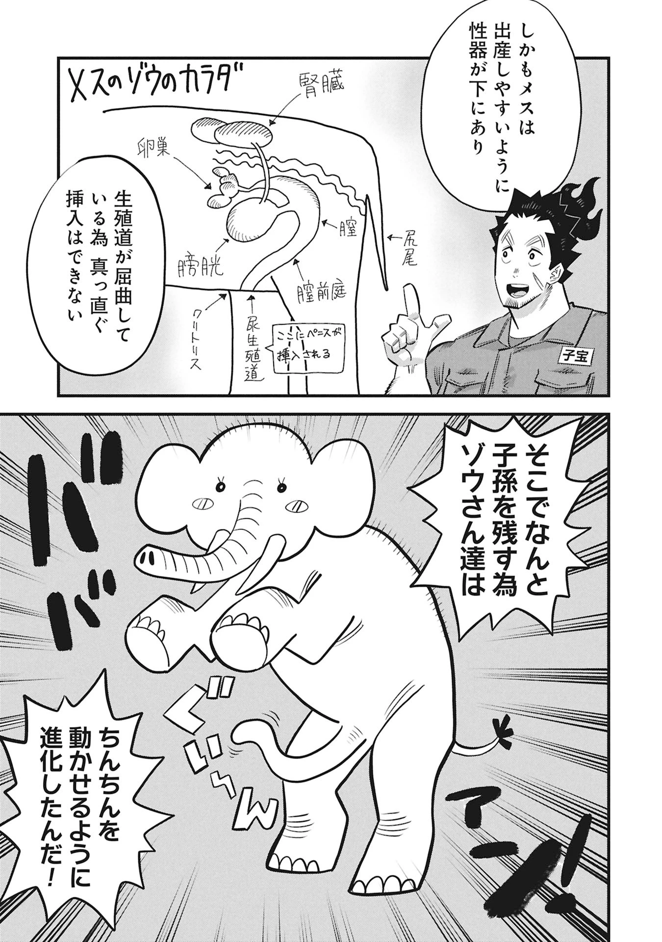 子宝さんのオトナな動物図鑑 第1話 - 11