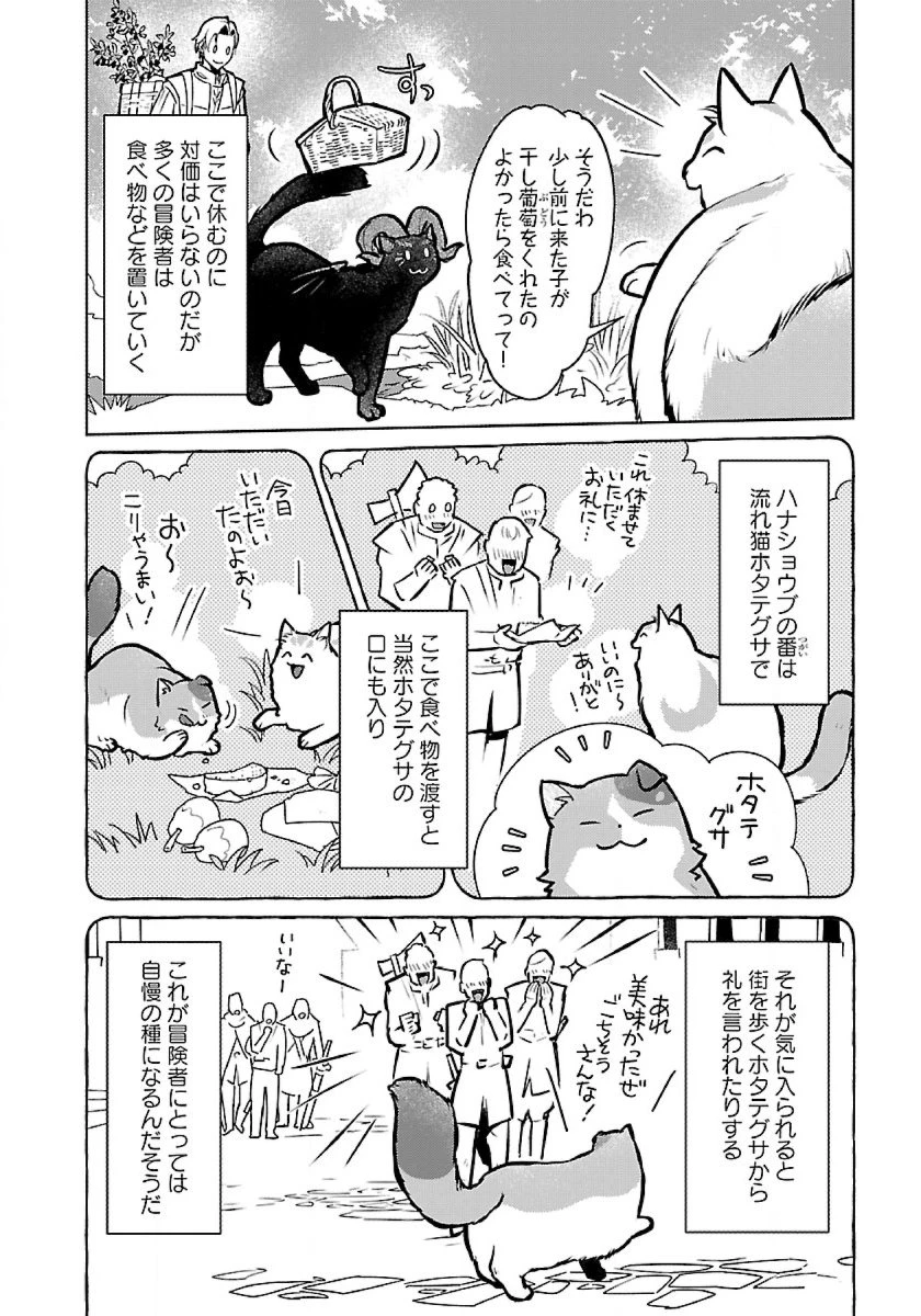 猫と竜 第49話 - 24