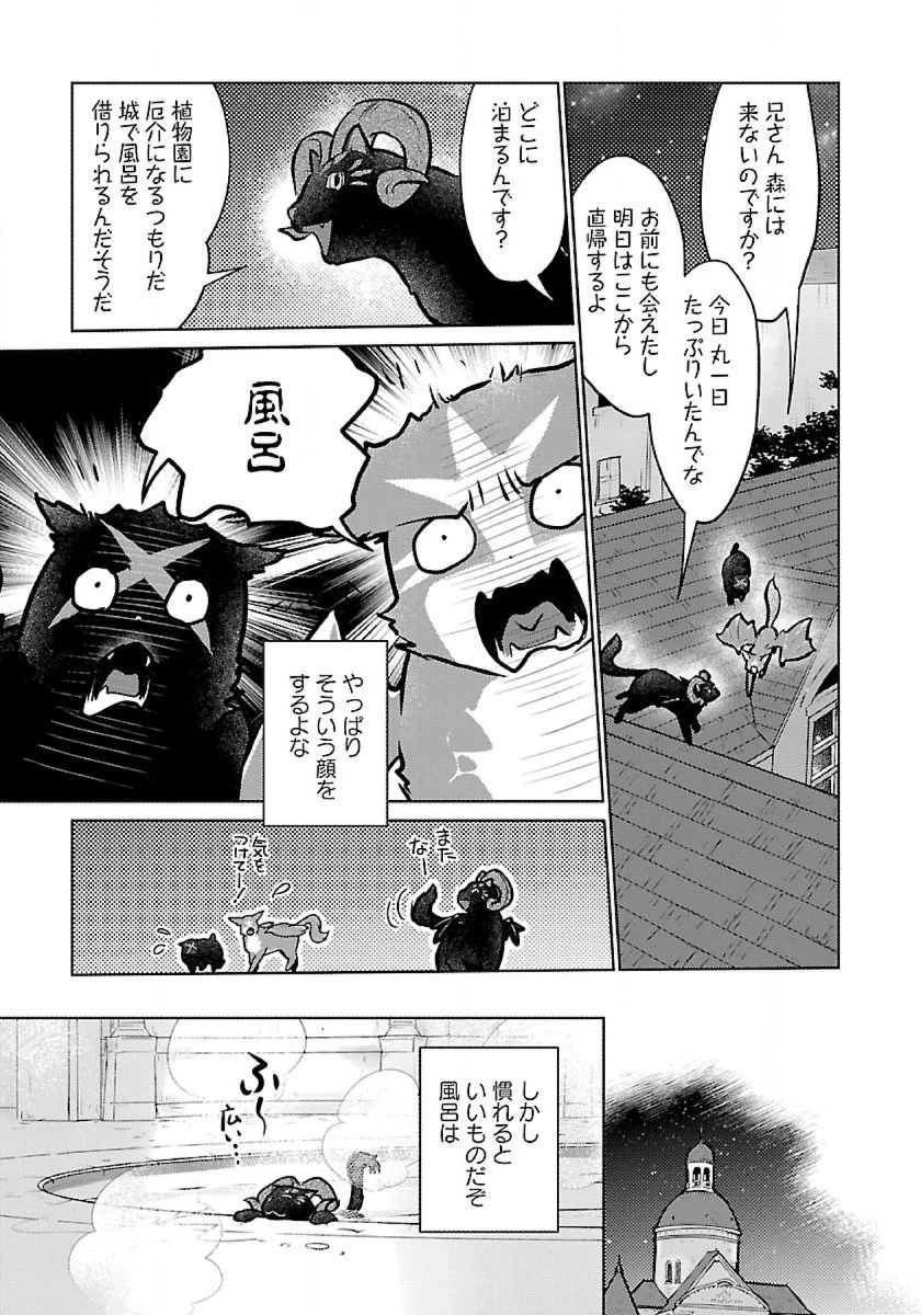 猫と竜 第49話 - 29