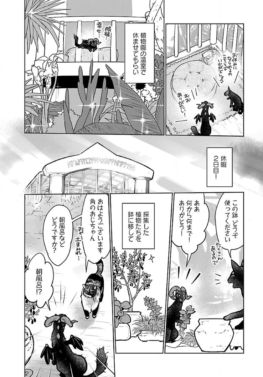 猫と竜 第49話 - 30