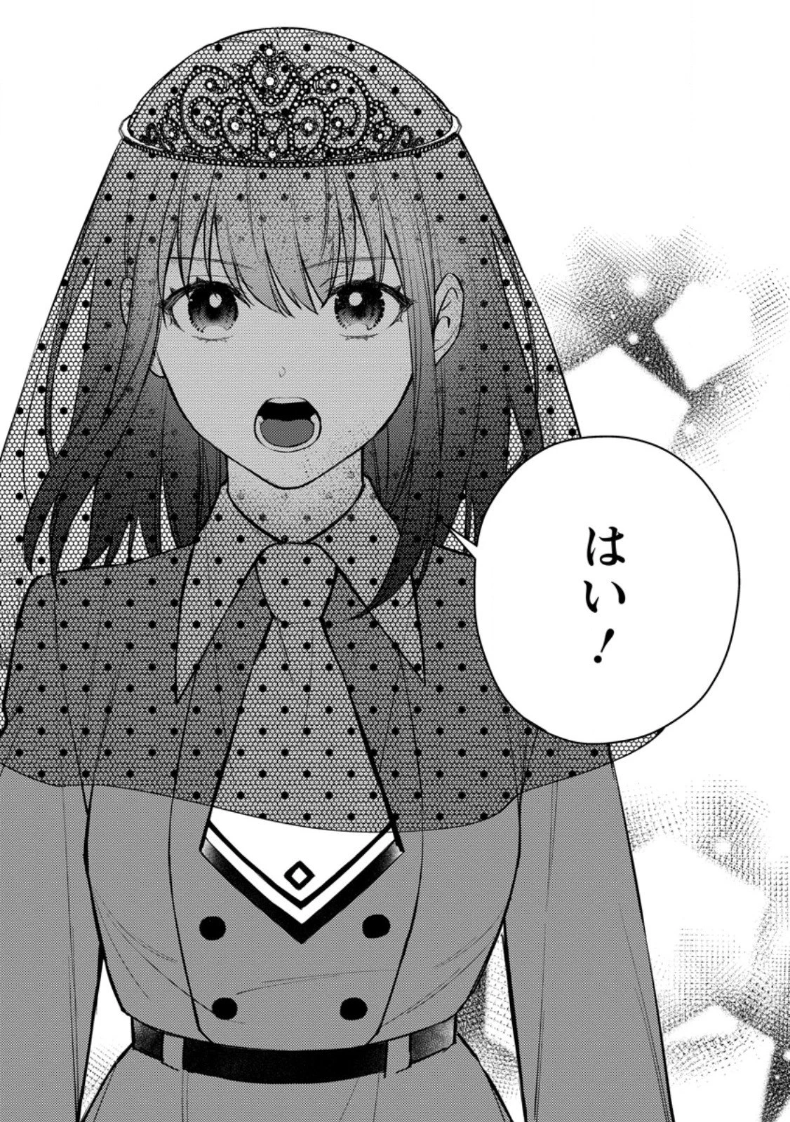 ヴェールの聖女～醜いと誤解された聖女、イケメン護衛騎士に溺愛される～ 第23.2話 - 12