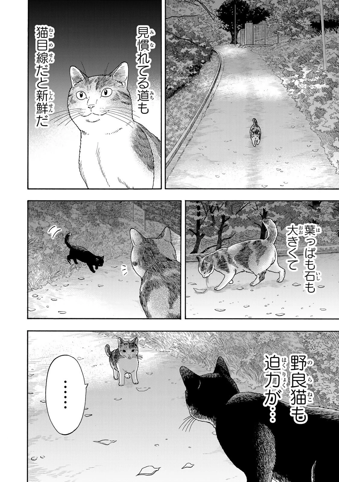 遊月は猫になる 第8話 - 4