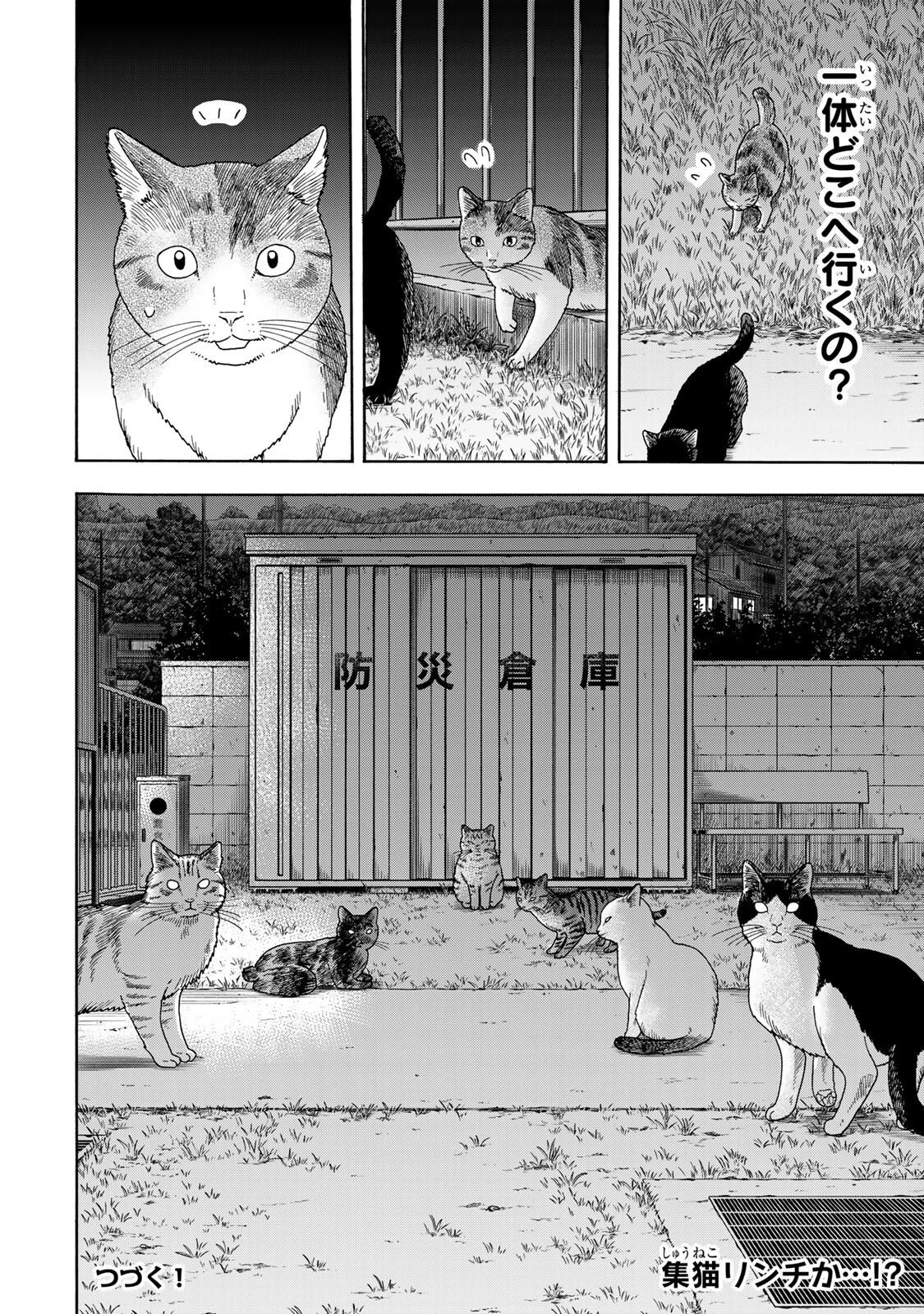 遊月は猫になる 第8話 - 8