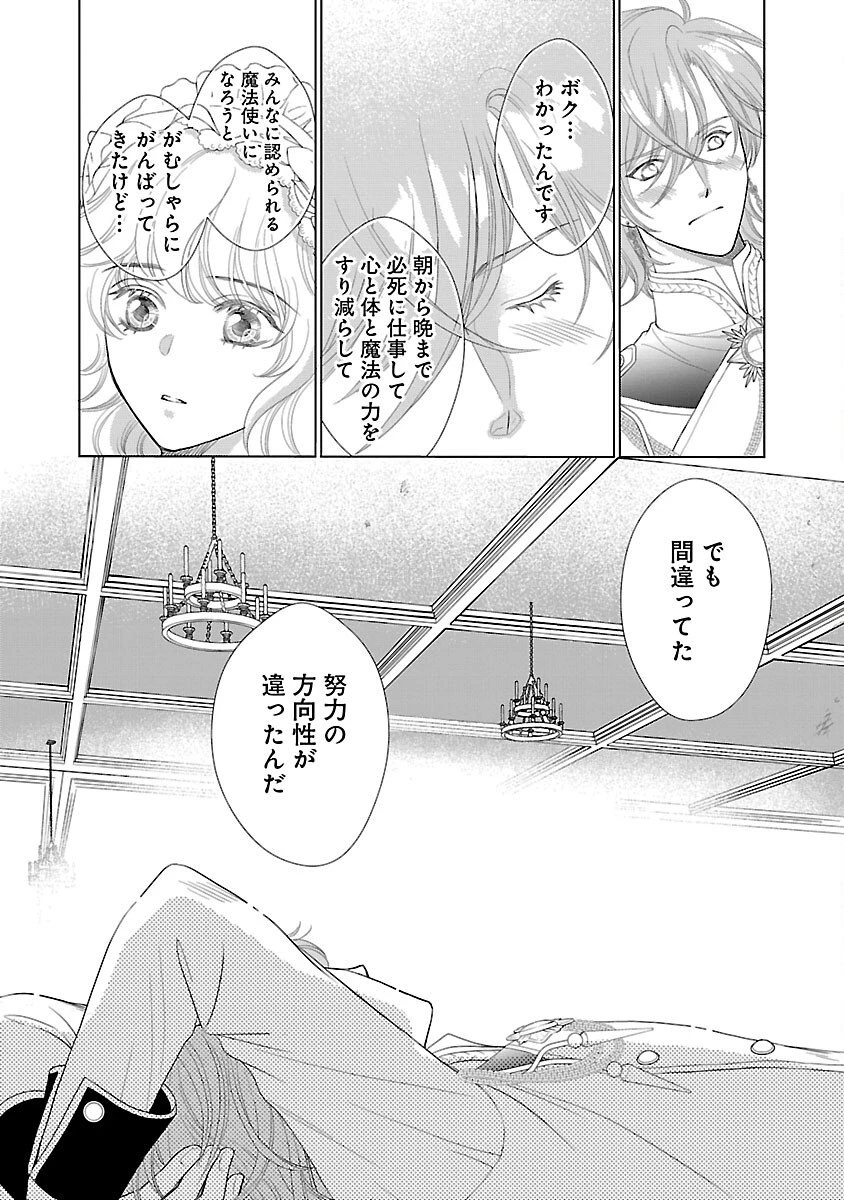 優しい婚約者の様子が変です〜お嬢様は黒髪の魔法使いに恋をする〜 第7話 - 24
