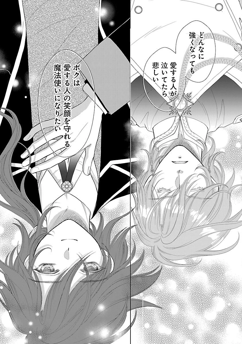 優しい婚約者の様子が変です〜お嬢様は黒髪の魔法使いに恋をする〜 第7話 - 25