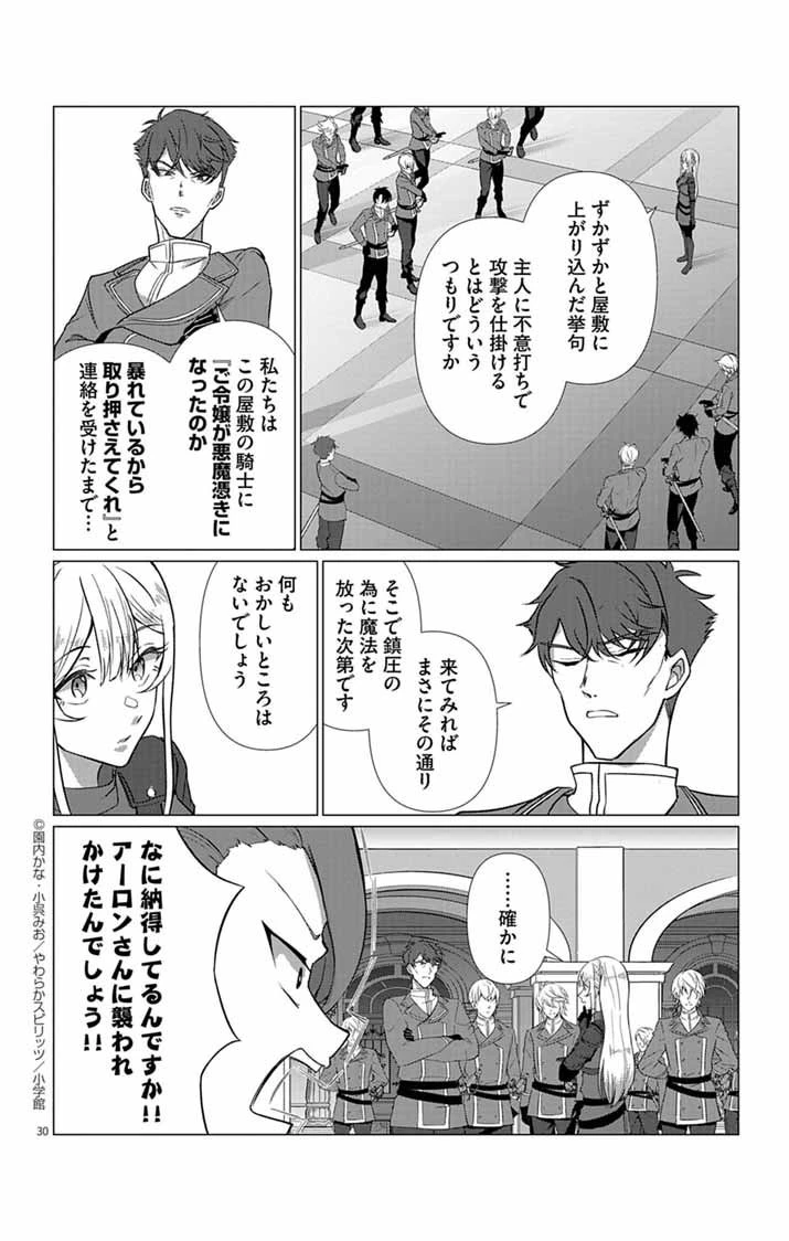 傾国の美姫はステータス変更で素手喧嘩無敗になりました 第5話 - 30