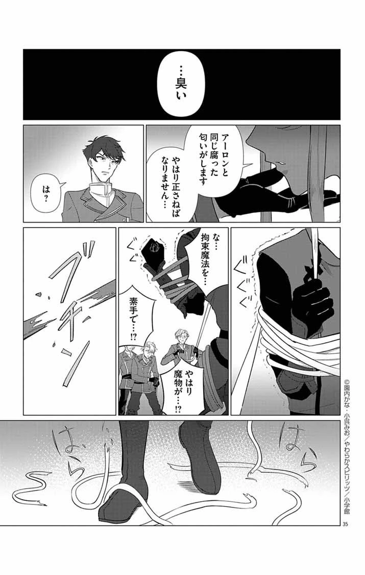 傾国の美姫はステータス変更で素手喧嘩無敗になりました 第5話 - 35