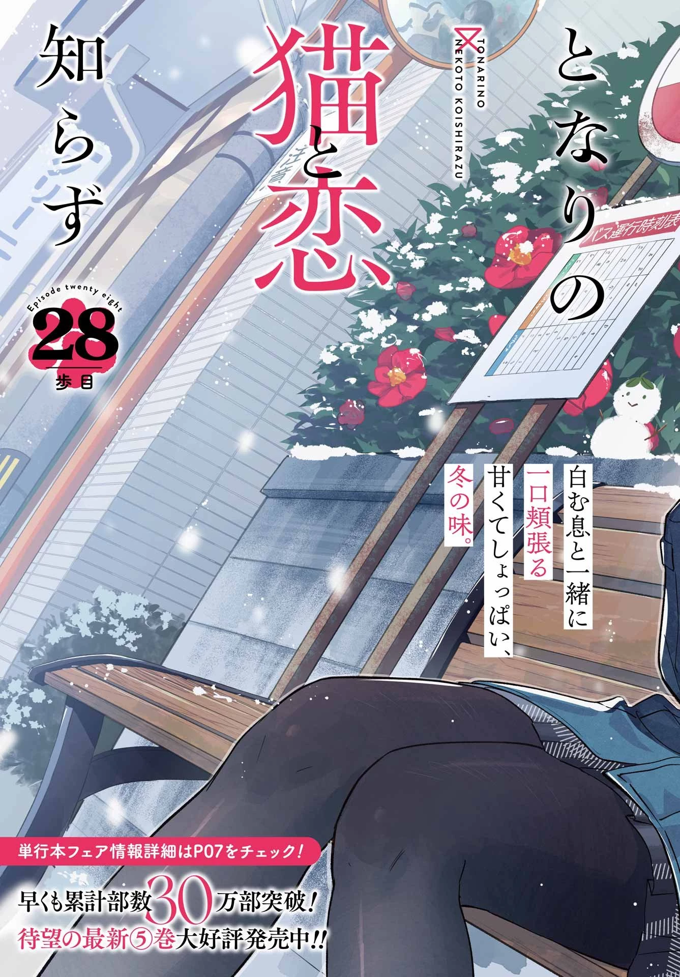 となりの猫と恋知らず 第28話 - 4