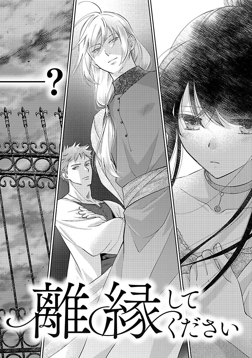 白い結婚から三年。旦那様、私と離縁してください 第17話 - 4