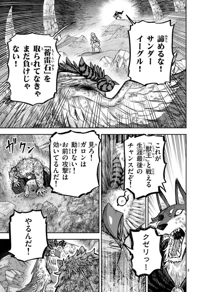 獣王と薬草 第62話 - 3