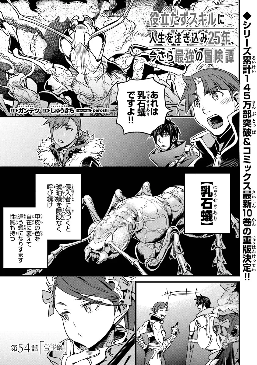 役立たずスキルに人生を注ぎ込み25年、今さら最強の冒険譚 第54話 - 1