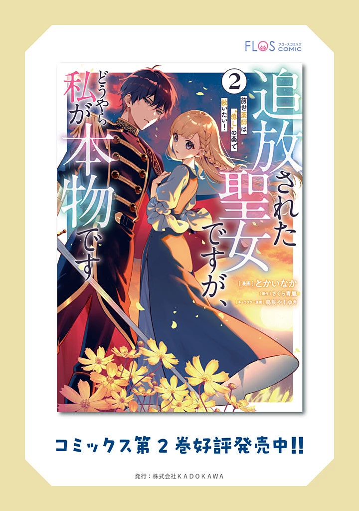 Douyara Watashi ga Honmono desu 追放された聖女ですが、どうやら私が本物です 追放された聖女ですが、どうやら私が本物です　前世薬師は“癒し”の薬で救いたい！ 第8.2話 - 12