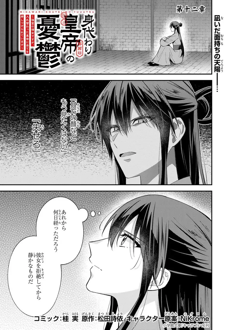 身代わり皇帝の憂鬱～後宮の侍女ですが、入れ替わった皇帝に全てを押しつけられています～ 第12話 - 1