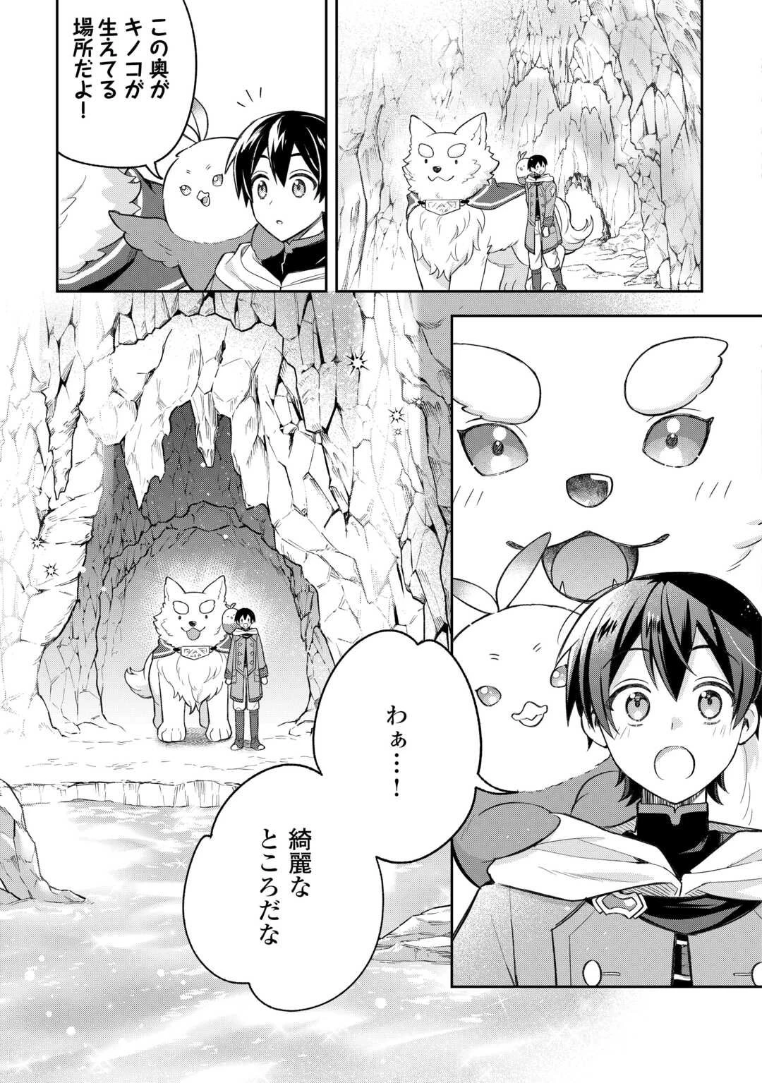 お人好し底辺テイマーがSSSランク聖獣たちともふもふ無双する 第9話 - 9