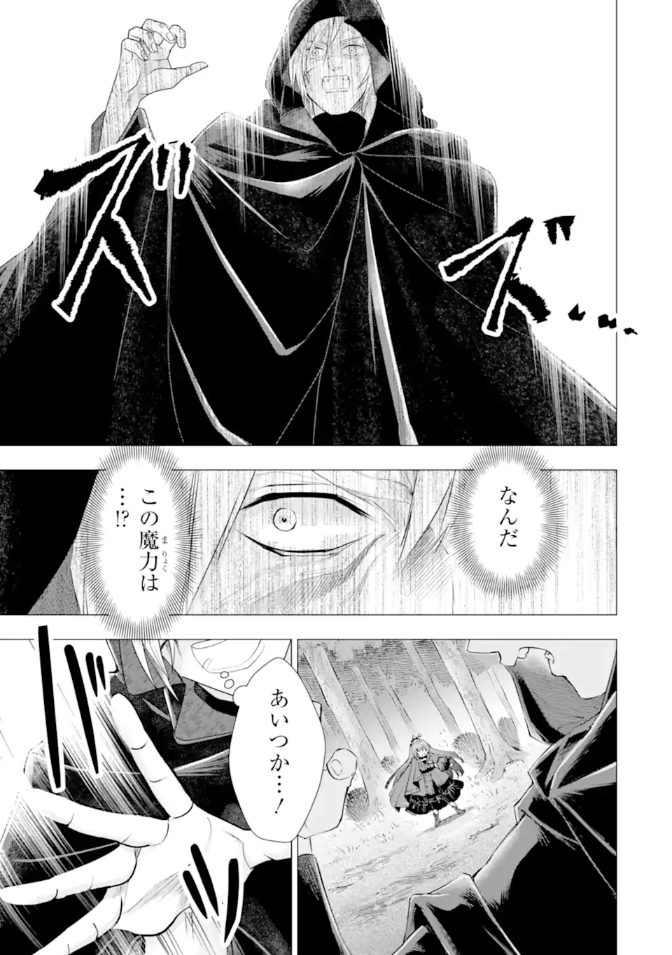 華麗なる悪女になりたいわ!～愛され転生少女は、楽しい二度目の人生を送ります～ 第5.6話 - 9