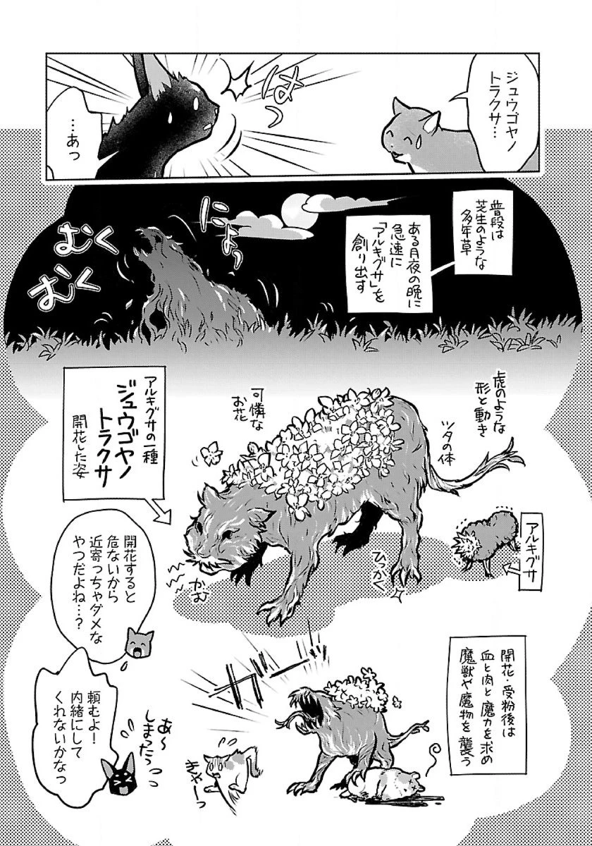 猫と竜 第50話 - 7