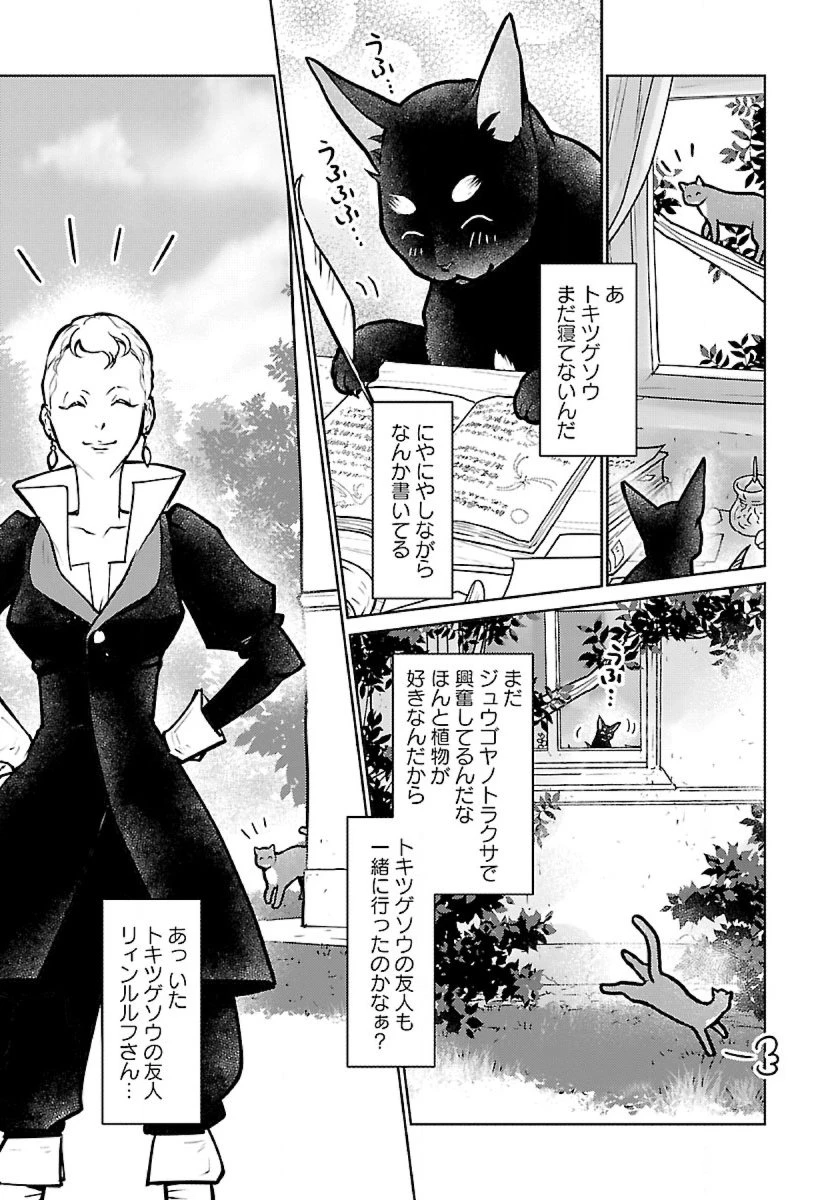 猫と竜 第50話 - 17