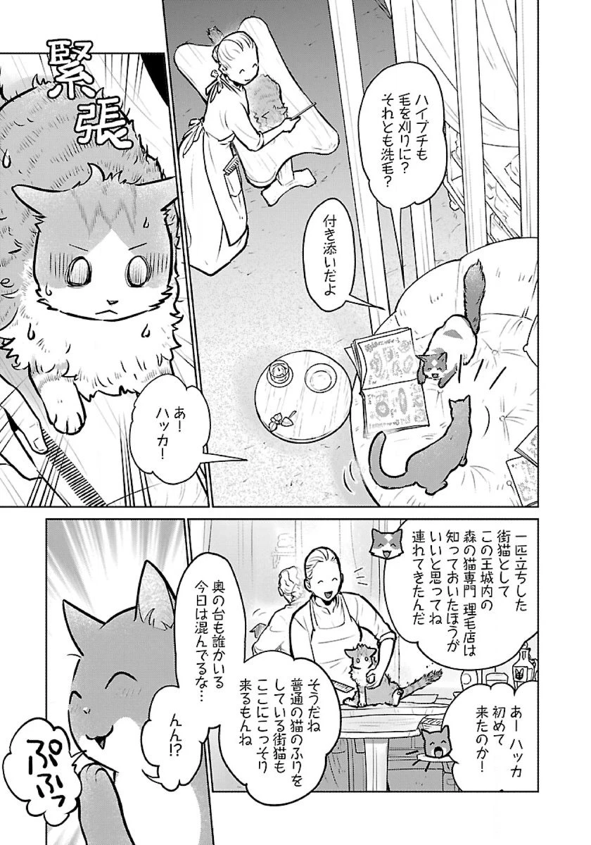 猫と竜 第50話 - 23