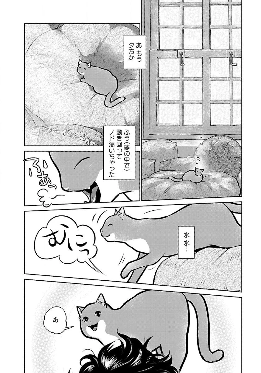 猫と竜 第50話 - 32