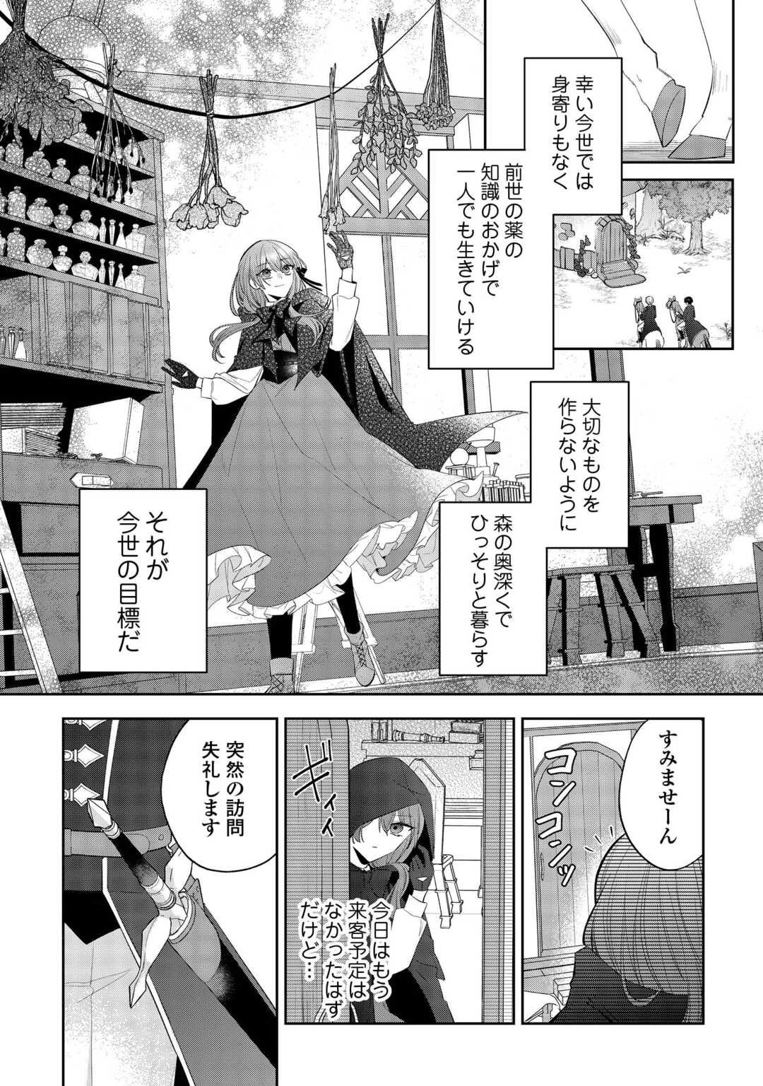 前世で処刑された聖女、今は黒薬師と呼ばれています 第1話 - 10