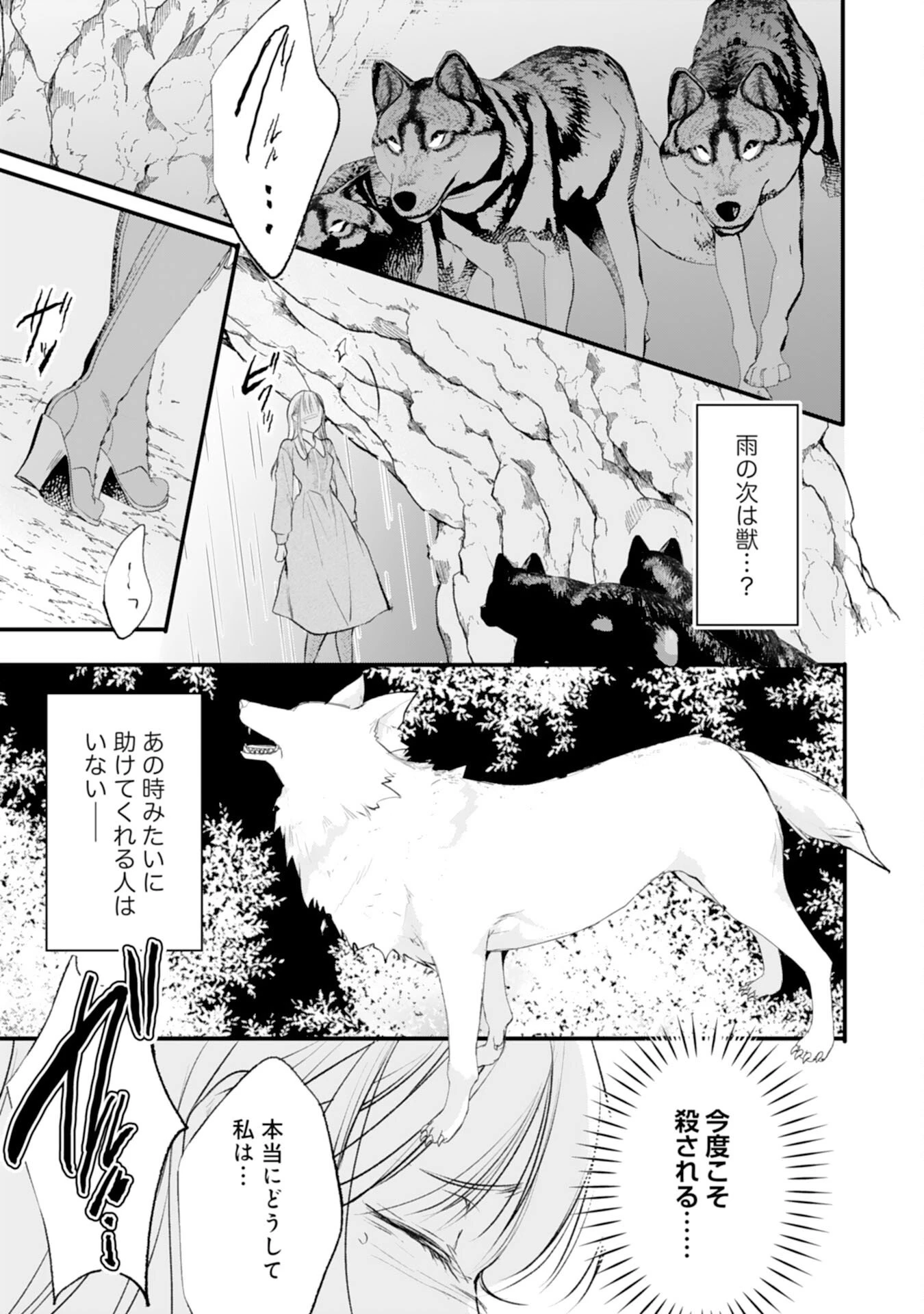 悪女のレッテルを貼られた追放令嬢ですが、最恐陛下の溺愛に捕まりました 第14話 - 13