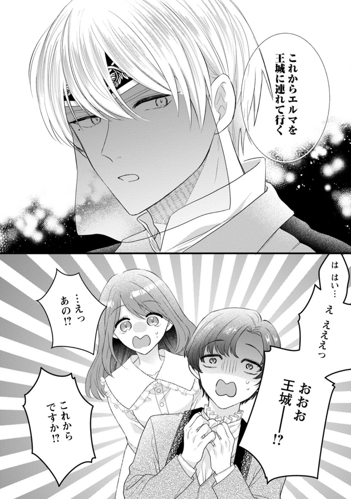 家族に役立たずと言われ続けたわたしが、魔性の公爵騎士様の最愛になるまで 第31.3話 - 8