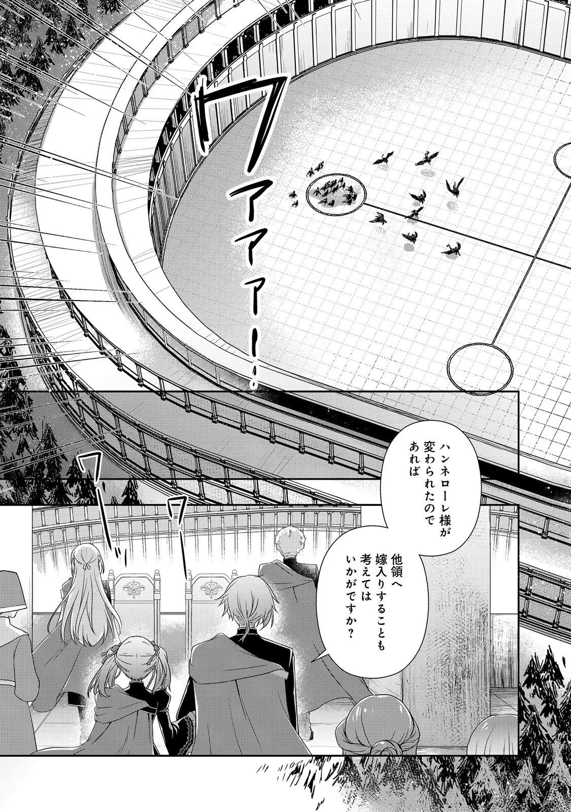 本好きの下剋上 ～ハンネローレの貴族院五年生～ 「恋してみたいお姫様」 第3話 - 17