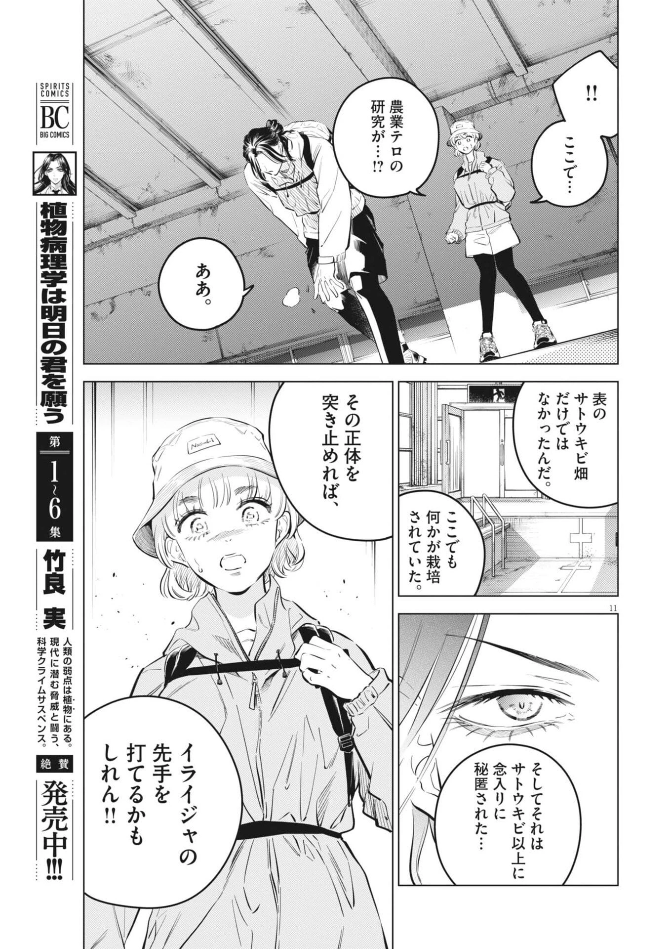 植物病理学は明日の君を願う 第37話 - 11