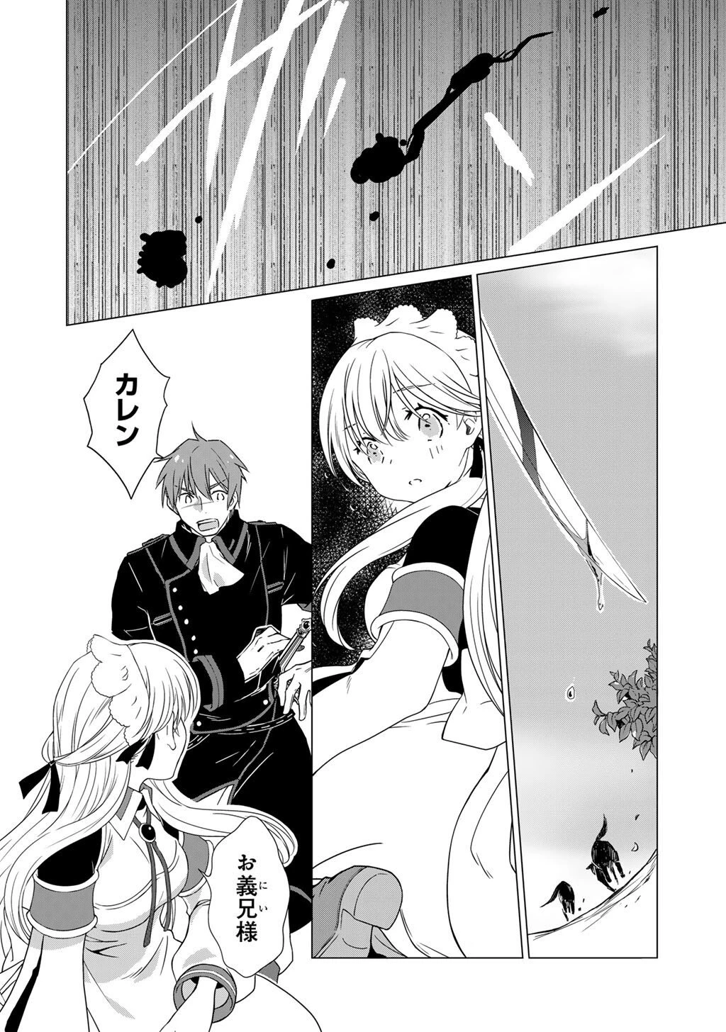 チートで家庭菜園～多分私が精霊姫だけど、他に名乗り出た者がいるので、家庭菜園しちゃいます～ 第12話 - 12