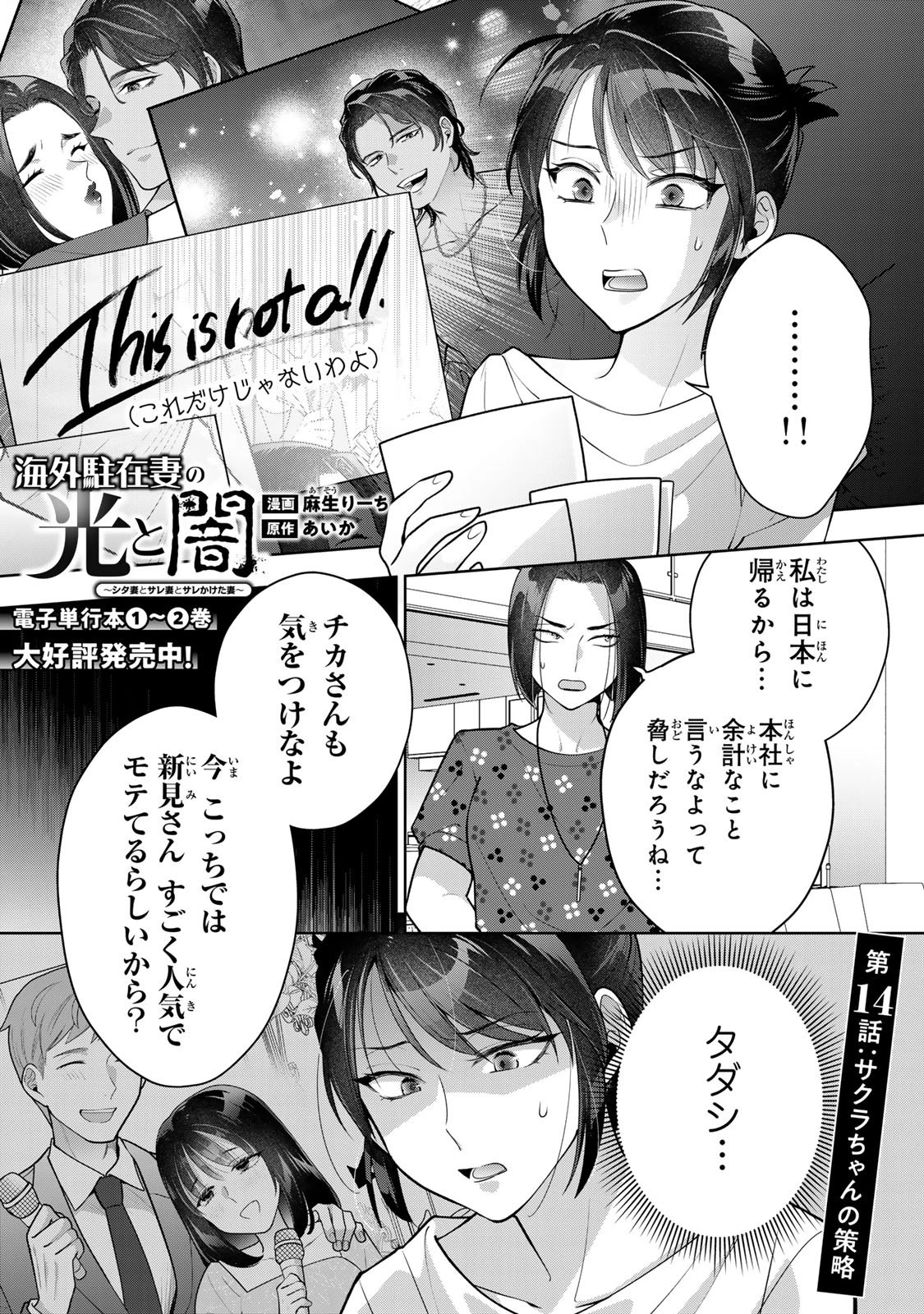 海外駐在妻の光と闇 ~シタ妻とサレ妻とサレかけた妻~ 第14話 - 3