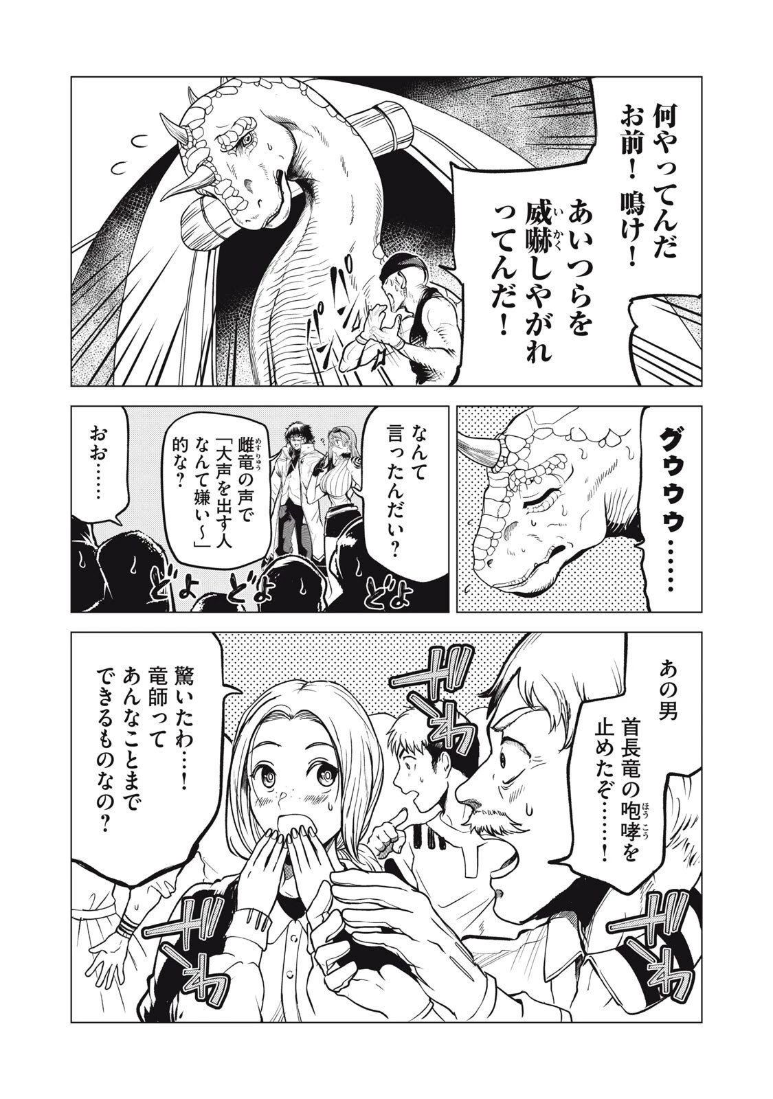 国を追われた竜師さん、拾われた隣国でうっかり無双してしまう。〜弱小国家が大陸最強の竜の楽園になるまで〜 第33.5話 - 8