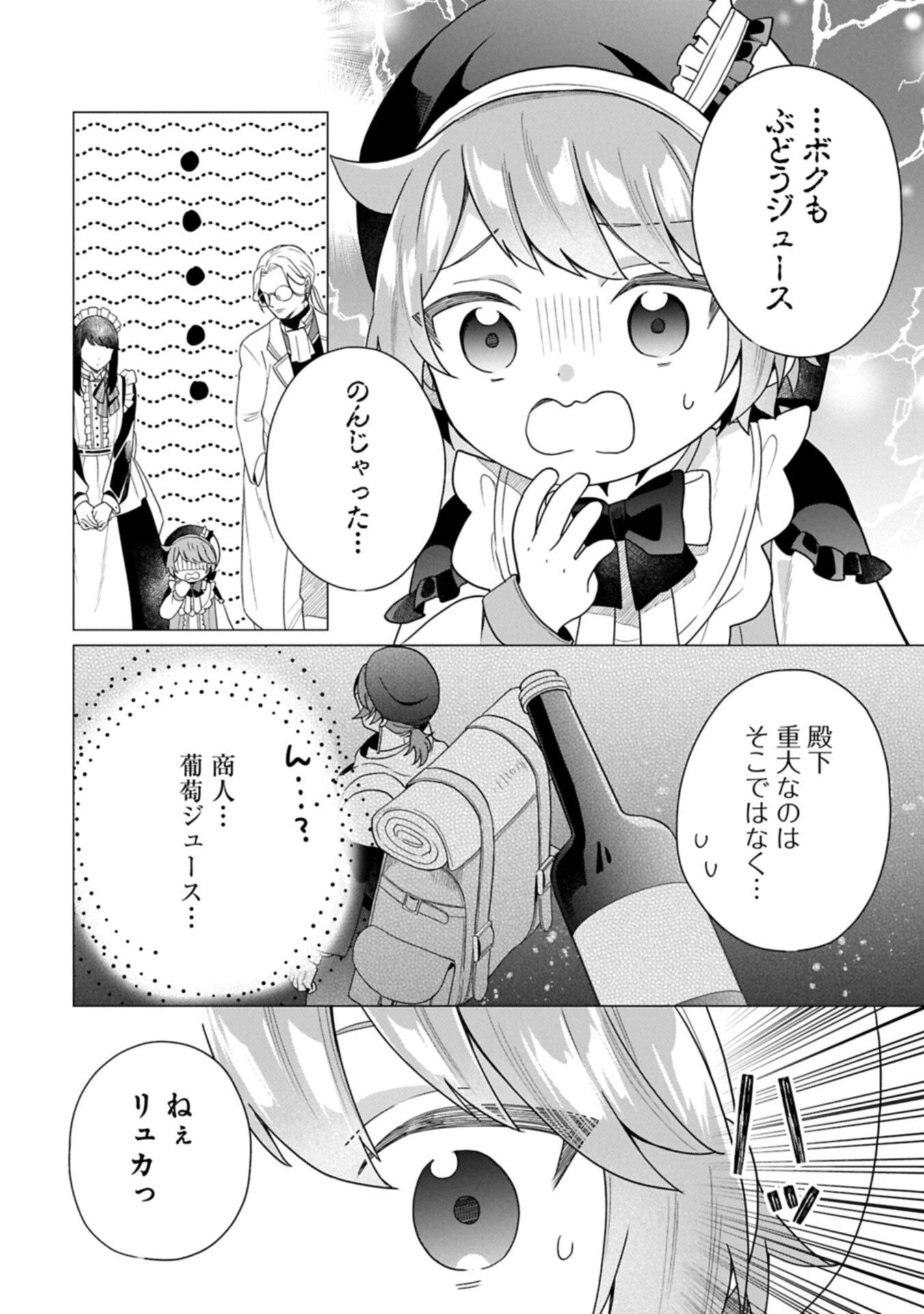 ボクは光の国の転生皇子さま!～溺愛する家族と精霊の加護と共に、ボクの天然チートでお助けします!～ 第6.2話 - 10