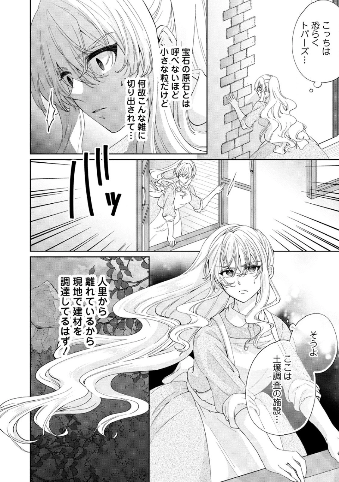 悪役令嬢の成り上がり～隣国で宝石の聖女と呼ばれるまで～ 第5.2話 - 5