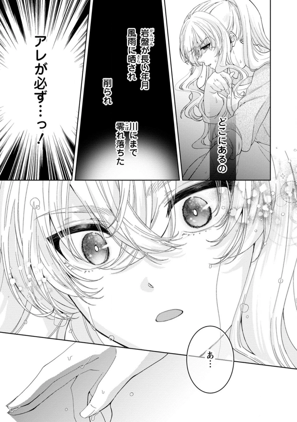 悪役令嬢の成り上がり～隣国で宝石の聖女と呼ばれるまで～ 第5.2話 - 8