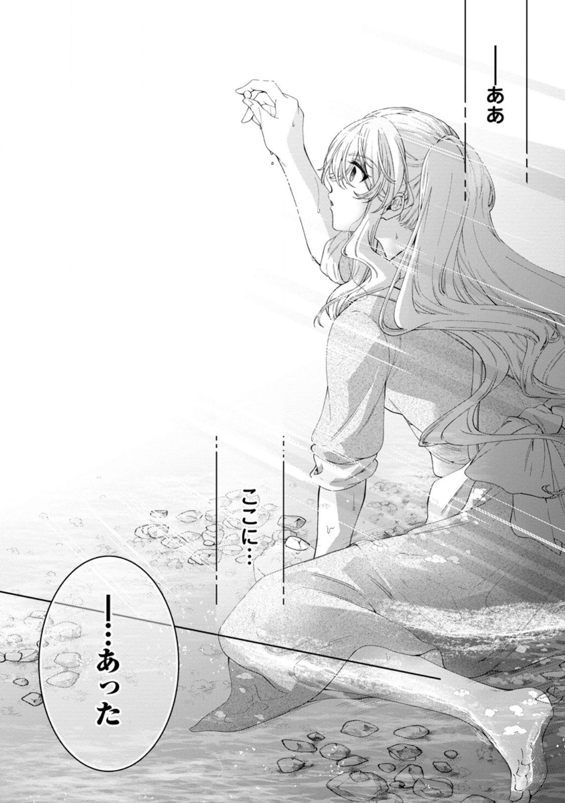 悪役令嬢の成り上がり～隣国で宝石の聖女と呼ばれるまで～ 第5.2話 - 9