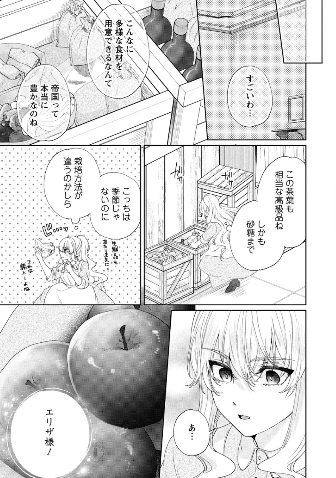 悪役令嬢の成り上がり～隣国で宝石の聖女と呼ばれるまで～ 第5.1話 - 9