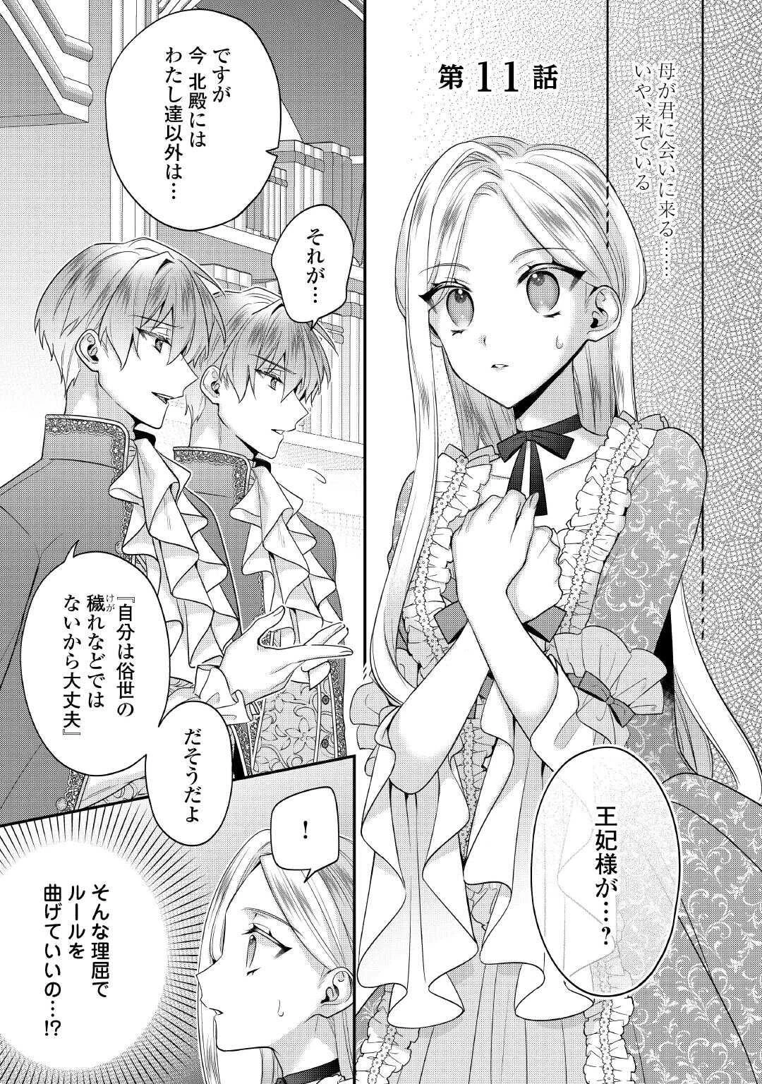 重婚なんてお断り! 絶対に双子の王子を見分けてみせます! 第11話 - 1