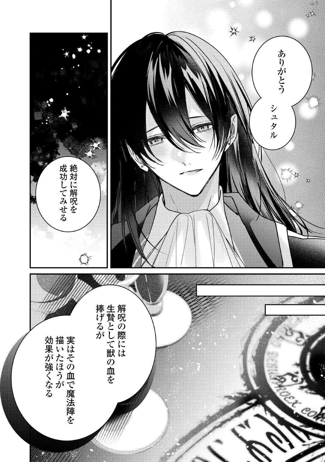 宮廷魔導士は鎖で繋がれ溺愛される 第11話 - 2