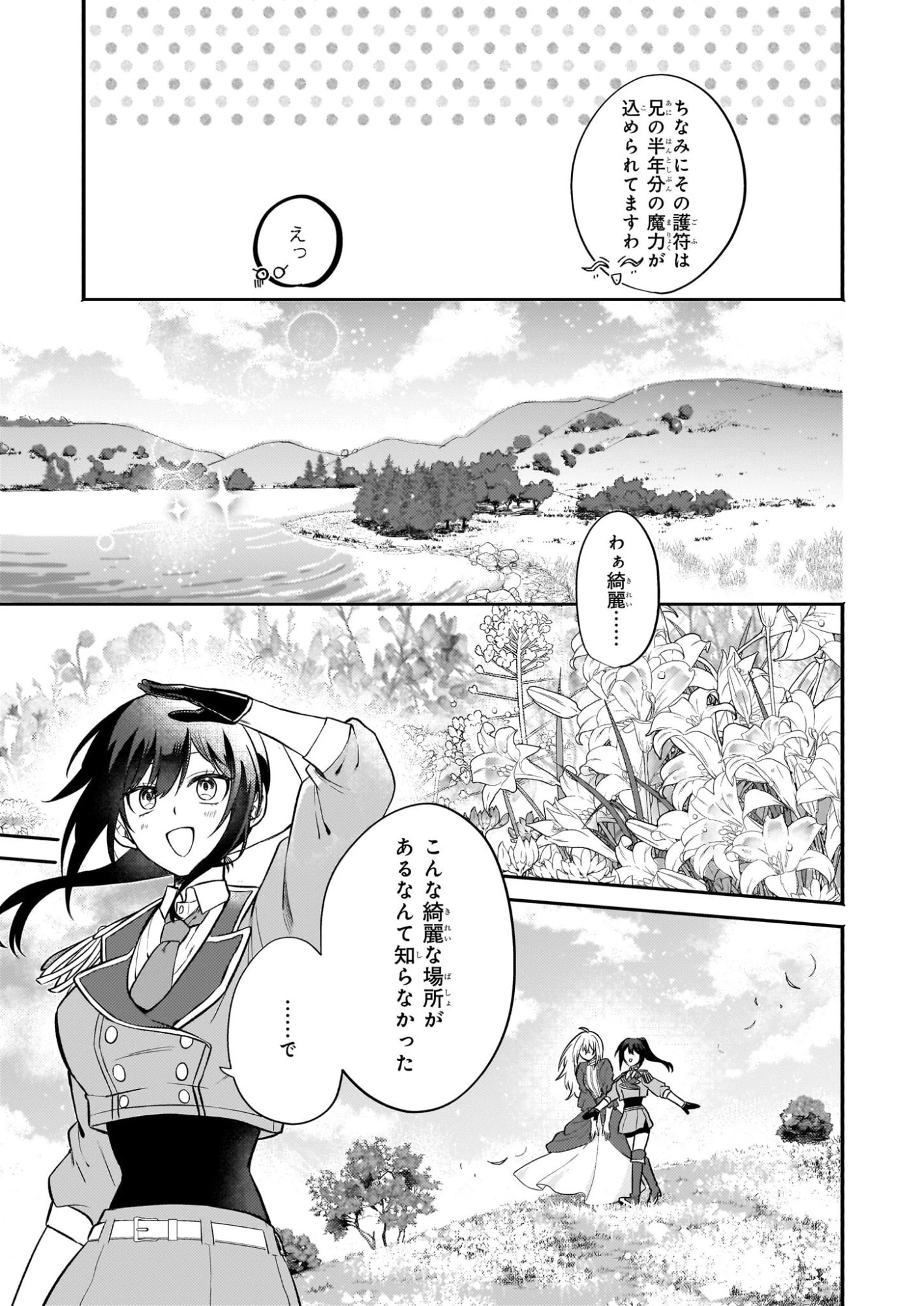 確かに私は、お嫁さんが欲しいと言いました。　～女装の王子様はお断り！～ 第4.1話 - 11