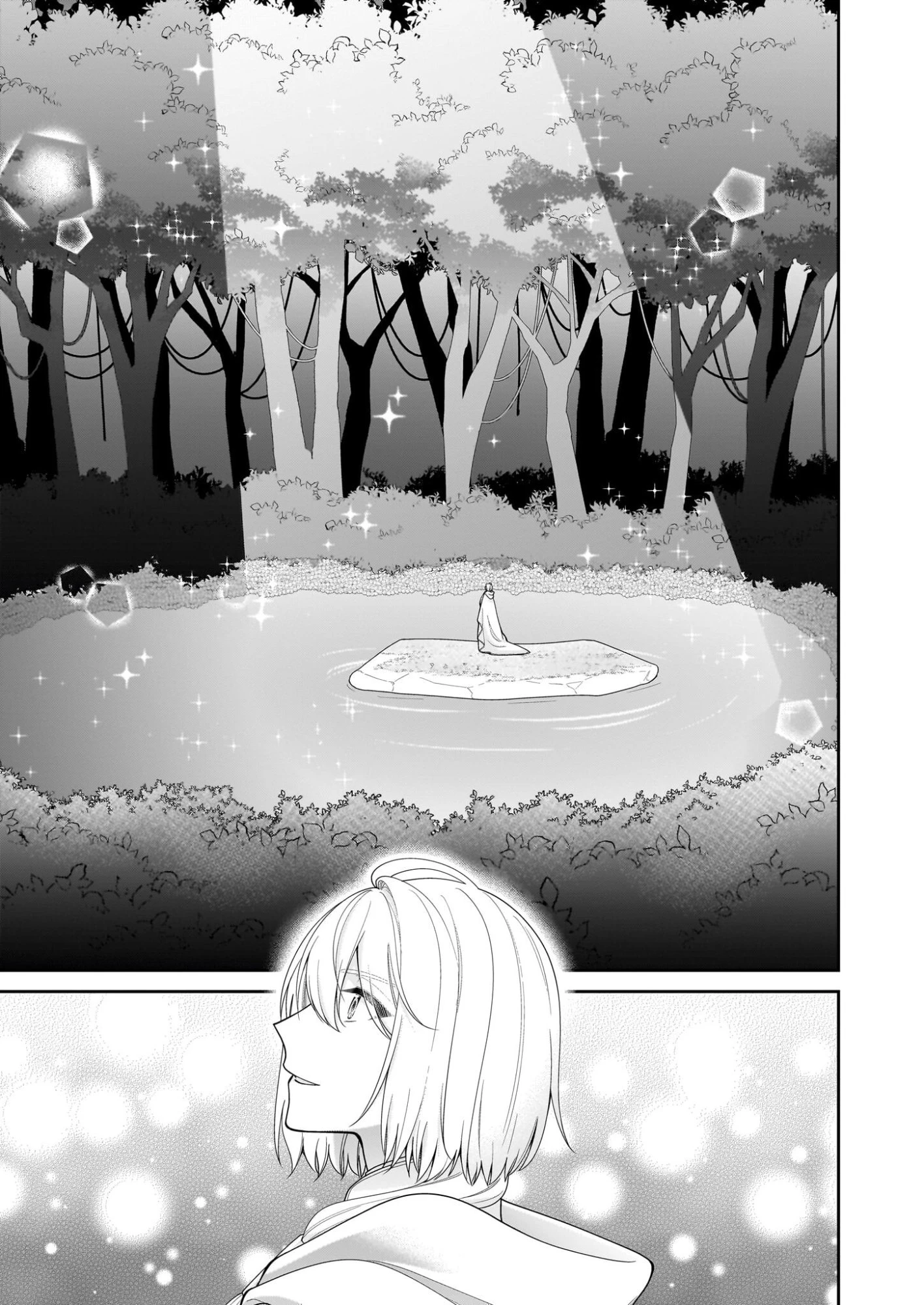 悪役令嬢は隣国の王太子に溺愛される 第67話 - 17