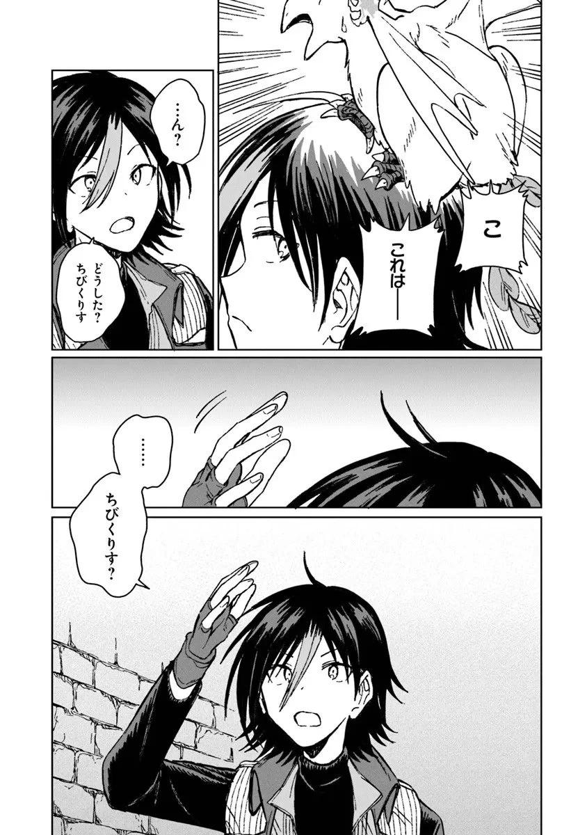 S級ギルドを追放されたけど、実は俺だけドラゴンの言葉がわかるので、気付いたときには竜騎士の頂点を極めてました。 第40.2話 - 9