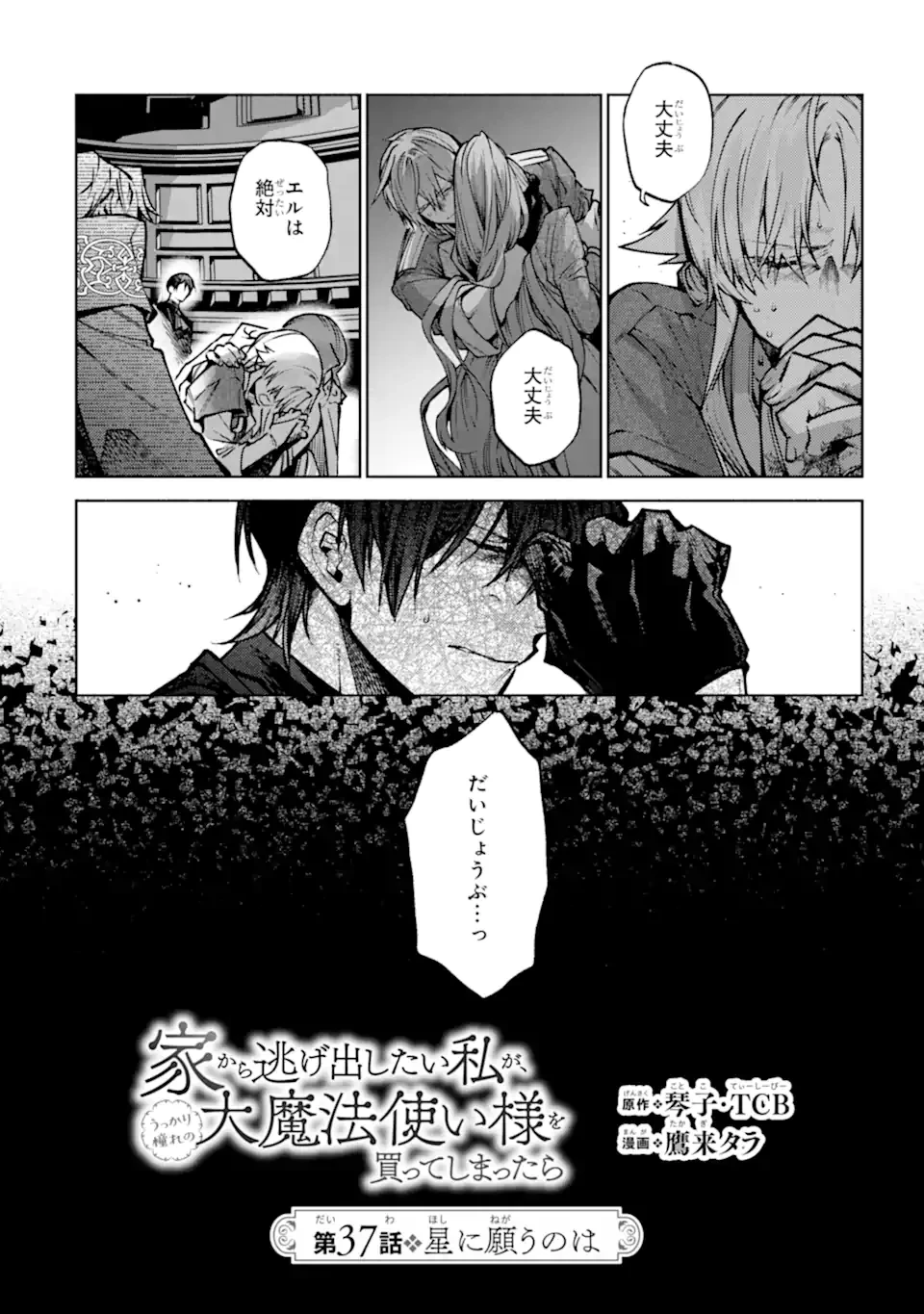 家から逃げ出したい私が、うっかり憧れの大魔法使い様を買ってしまったら 第37.1話 - 6