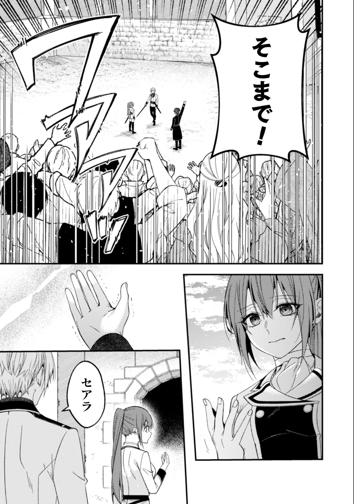 『理想の花嫁を探して幸せにして差し上げます』と言ったら、そっけなかった婚約者が何故か関わってきますが、花嫁斡旋頑張ります 第12話 - 14