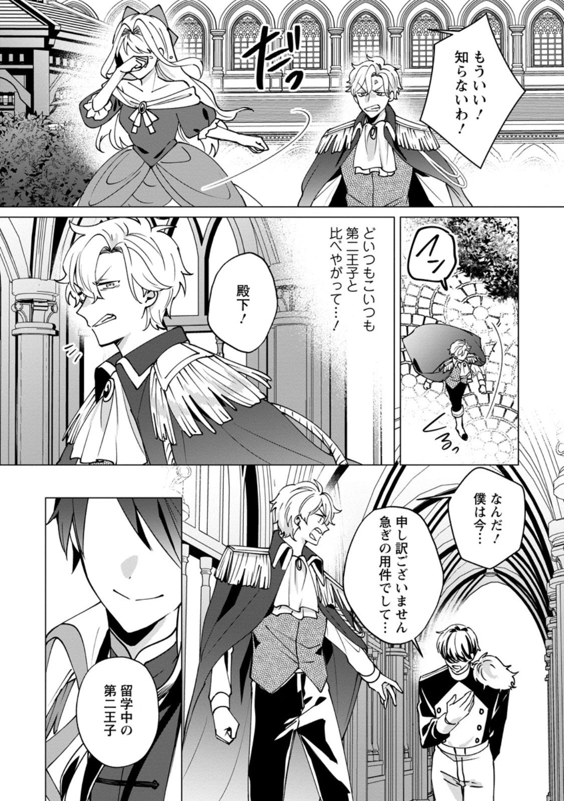 捨てられ聖女のもふもふ保護活動〜天才魔法使いと幻獣たちに愛されて幸せになります〜 第6.1話 - 8