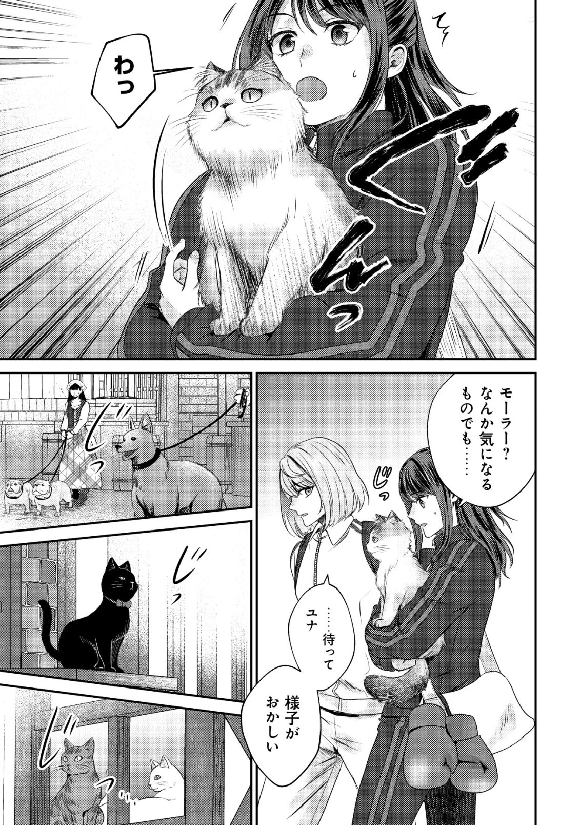 我輩は猫魔導師である～キジトラ・ルークの快適チート猫生活～ 第27話 - 3