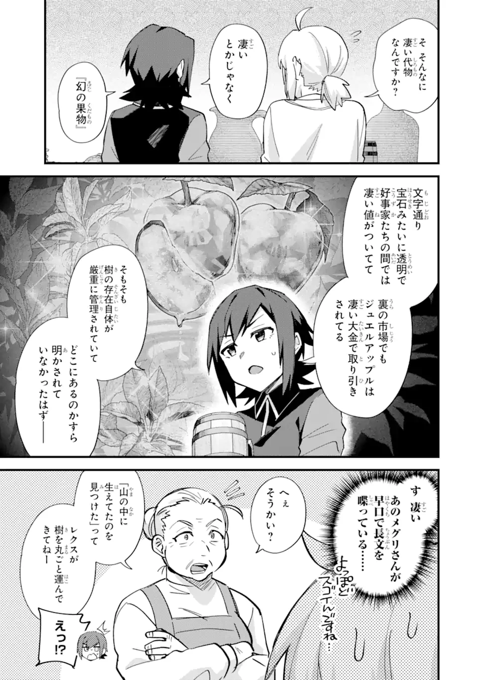 二度転生した少年はSランク冒険者として平穏に過ごす～前世が賢者で英雄だったボクは来世では地味に生きる～ 第50.3話 - 7